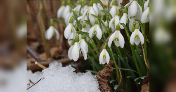 Похолодання на заході та сильні дощі по всій Україні: синоптики прогнозують зміну погоди наступного тижня - INFBusiness
