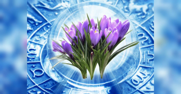 Тельцям треба підтягнути «хвости», а Скорпіони зможуть передбачити майбутнє: гороскоп на 9 березня - INFBusiness