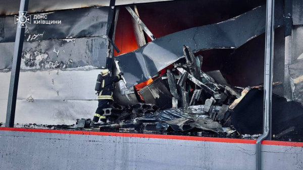 Дим від потужної пожежі під Києвом накрив столицю: містянам не рекомендують відчиняти вікна (фото) - INFBusiness