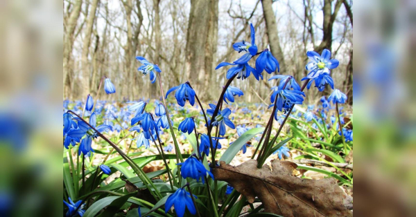 Козорогам — завершення справ і відновлення, Тельцям — стабільність і прості радощі: гороскоп на кінець тижня - INFBusiness