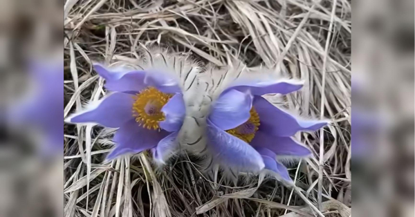 Діставайте пуховики: Україну накриє арктичний холод - INFBusiness