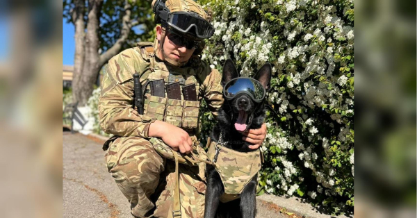 На похороні його вірна вівчарка Йорна плакала: ворожий дрон вбив 26-річного прикордонника на Запоріжжі - INFBusiness