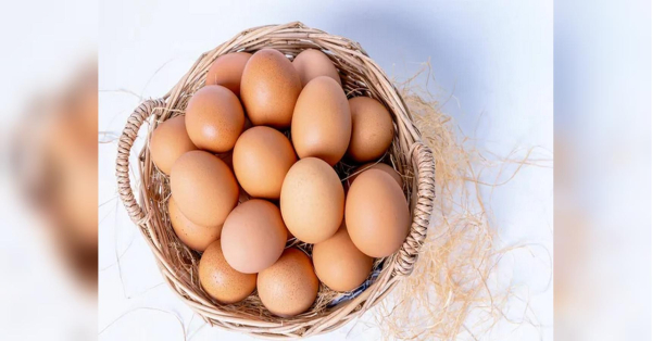 Щоб не отруїтися: як перевірити яйця на свіжість вдома — простий лайфхак - INFBusiness