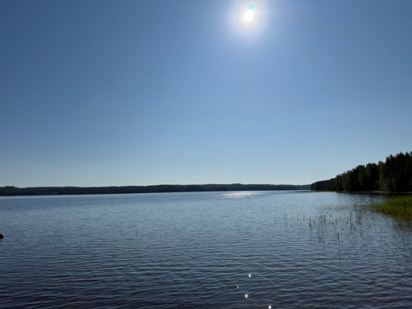 «Цифровий детокс для більшості з нас може бути дуже корисний», — тренд-аналітикиня Сюзанна Бйорклунд - INFBusiness