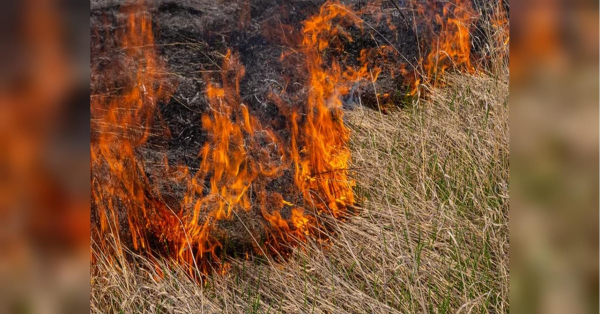 Штрафи до 20 тисяч: хто під загрозою і кому доведеться платити - INFBusiness