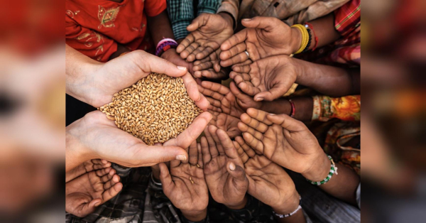 Глобальний ринок їжі під ударом: війна в Ірані може спровокувати голод — FT - INFBusiness