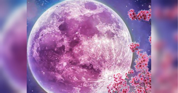 Рожевий місяць — 2026: чого чекати від повного місяця 2 квітня - INFBusiness