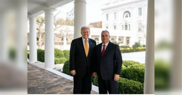 Трамп втрутився у вибори в Угорщині: публічно закликав голосувати за Орбана - INFBusiness