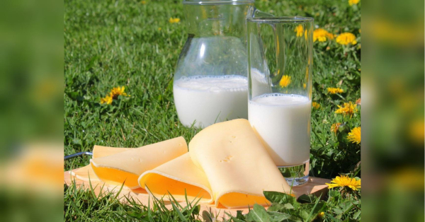 До кінця березня подорожчають молочні продукти: як зміняться ціни й чому - INFBusiness