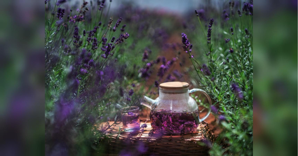 Цей чай ідеально підходить для поліпшення травлення та боротьби зі стресом, але є нюанси - INFBusiness