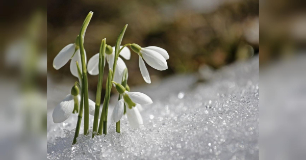 Овни не повинні піддаватися провокаціям, а Тельці — спокусі: гороскоп на 3 березня - INFBusiness