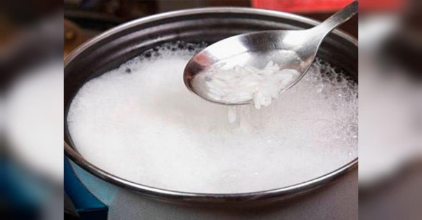 Домашній «еліксир росту»: чим знавці поливають папороть - INFBusiness