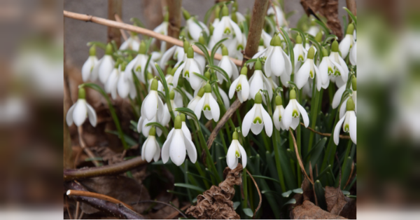 У вихідні ще погріємось на весняному сонці, але погода вже міняється - INFBusiness