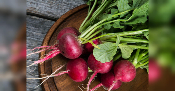 Включіть цей овоч до свого раціону: позбудетеся хандри і ламкості нігтів - INFBusiness