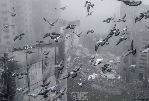 Ще одне українське місто на межі зникнення: Костянтинівка перетворюється на руїни (фото) - INFBusiness