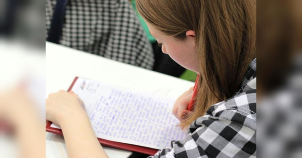 В Україні стартувала реєстрація на НМТ-2026: як зареєструватися через «Дію» - INFBusiness