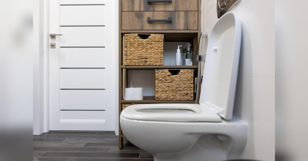 Як легко очистити унітаз від нальоту: допоможе копійчаний засіб - INFBusiness