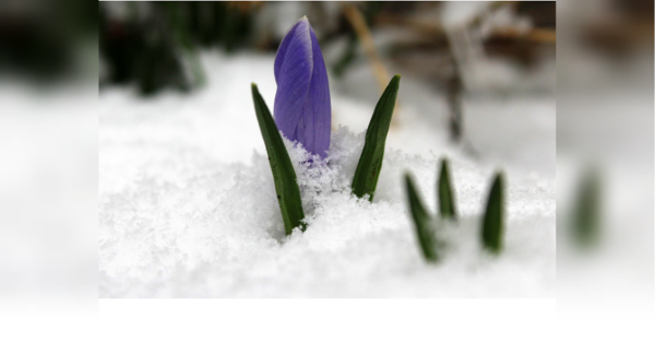 В Україну йдуть похолодання та мокрий сніг: коли зміниться погода - INFBusiness