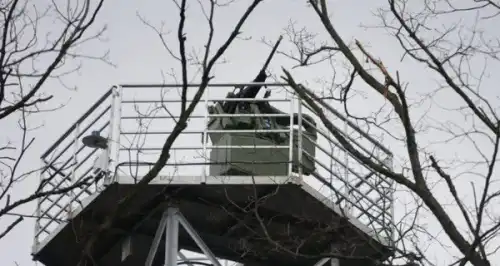 У Міноборони стали на захист ЗМІ, які показали роботу приватних ППО - INFBusiness