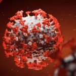 В Україні зафіксовано перший випадок нового штаму COVID-19 «Цикада» - INFBusiness