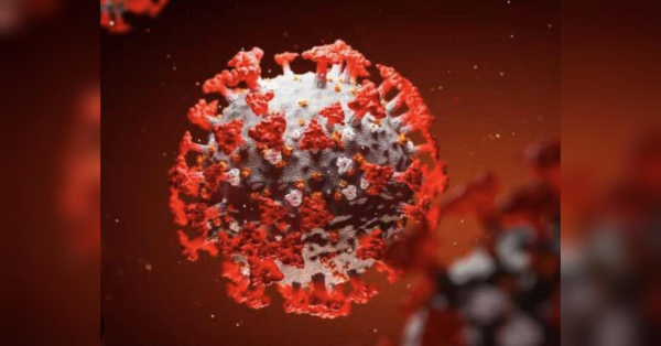 В Україні зафіксовано перший випадок нового штаму COVID-19 «Цикада» - INFBusiness