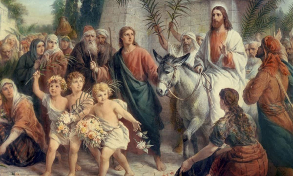 Вербна неділя: магічні властивості верби та чому вона стала символом сили й добробуту - INFBusiness