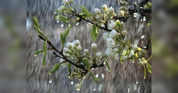 Поки тепла не чекайте: погоду в Україні визначатиме циклон — з мокрим снігом та температурою нижчою за норму - INFBusiness