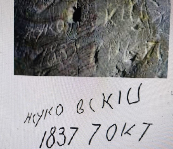 Існує версія, що княгиня Ольга замовила вбивство сина: як історія загибелі Святослава може бути пов’язана з Києво-Печерською лаврою - INFBusiness