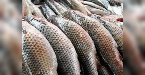 Скоро подорожчає популярний в українців продукт харчування: про що йдеться і наскільки дорожче доведеться заплатити - INFBusiness