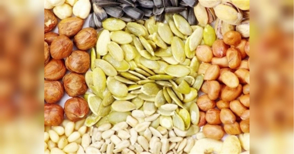 Секрет довголіття у двох ложках: що кажуть нові дослідження про користь горіхів та насіння - INFBusiness