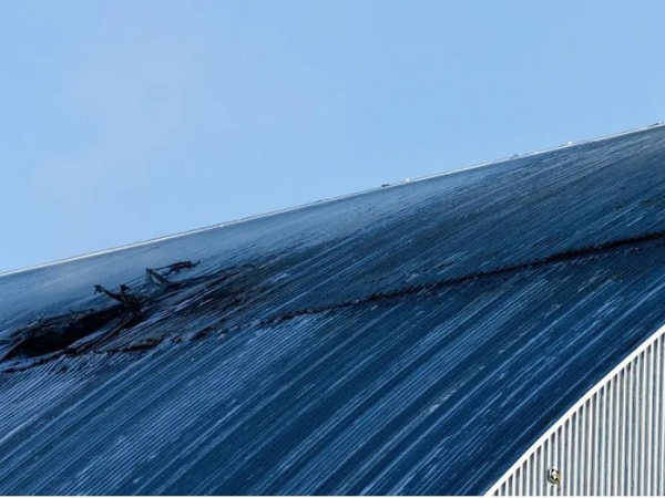 Чи залишається небезпека розповзання радіації за межі зони відчуження через 40 років після Чорнобиля: радіологиня дала відповідь - INFBusiness