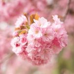 Водоліям — розібратися зі справами, Стрільцям — не давати порожніх обіцянок: гороскоп на 23 квітня - INFBusiness