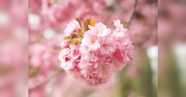 Водоліям — розібратися зі справами, Стрільцям — не давати порожніх обіцянок: гороскоп на 23 квітня - INFBusiness