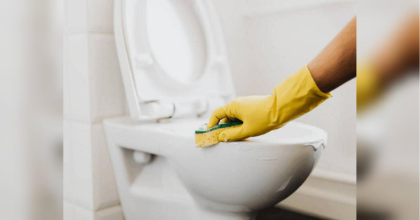 Жоден засіб не впорався так: унітаз блищить як новий - INFBusiness