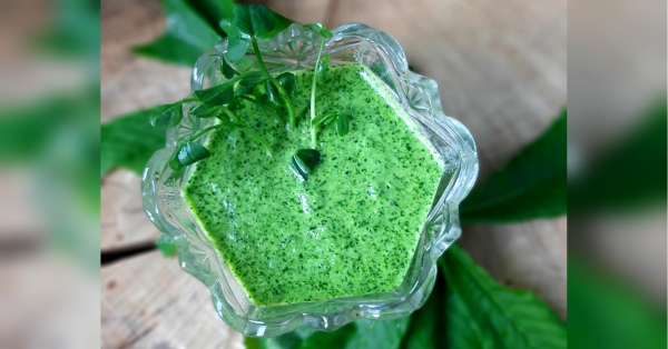 Весняний соус до пасти та салатів: смачно як у найкращому ресторані - INFBusiness