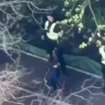 «Чи треба нам така поліція в тилу, яка, маючи чисельну перевагу, кидає тих, кого має захищати, і тікає?», — військовий Ігор Луценко - INFBusiness