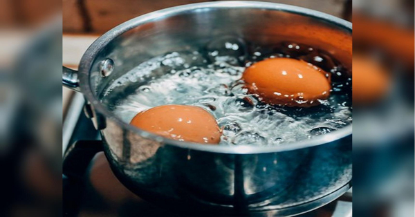 Чому в жодному разі не можна класти варені яйця у холодну воду - INFBusiness