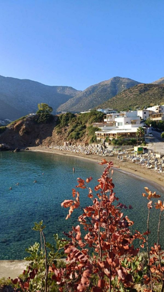 «Вирушаючи у подорож, треба мати план на випадок форс-мажорної ситуації», — експертка з туризму Марина Білоножко - INFBusiness