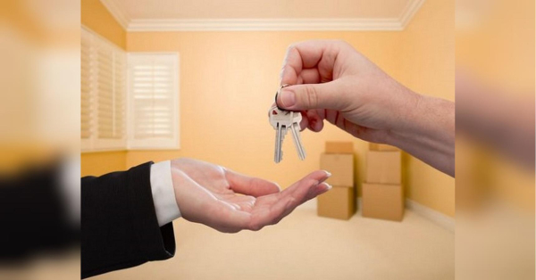 Податкова взялася за орендодавців: що чекає власників квартир - INFBusiness