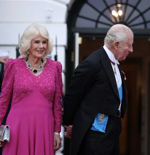 Прийом на честь короля: Меланія в Dior, серед гостей мільярдери, на десерт торт у формі вулика - INFBusiness