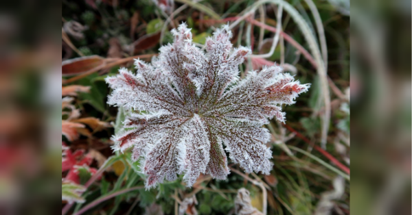 Тепла не чекайте — діставайте пуховики: в Україні різко зміниться погода