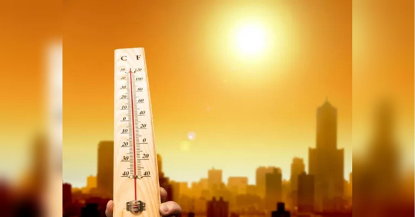 Україну може накрити аномальна спека влітку 2026: що кажуть синоптики - INFBusiness