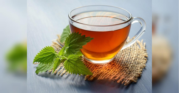 Названо рослину, яка допомагає швидко знизити тиск: росте на кожному городі - INFBusiness