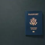 У США випустять обмежену серію пам’ятних паспортів із портретом Трампа - INFBusiness