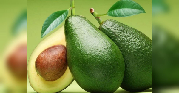 Корисне, але не для всіх: кому авокадо може нашкодити