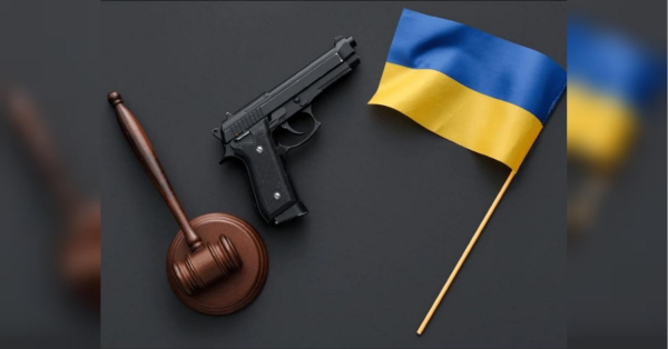 Партія «Дія» забезпечить безкоштовне навчання громадян у разі легалізації зброї, — Сікалов - INFBusiness