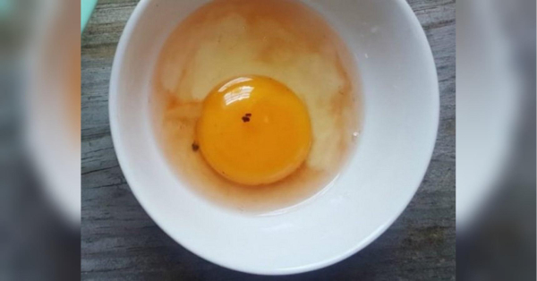 Червона цятка в яйці: чи безпечно його їсти - INFBusiness