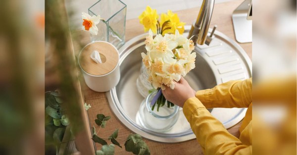 Хитрощі догляду за нарцисами у вазі: як зберегти свіжість квітів - INFBusiness