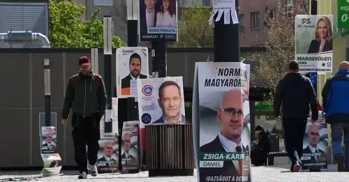 Нардеп Сергій Алексєєв: Їду спостерігачем в Угорщину і готовий до провокацій - INFBusiness