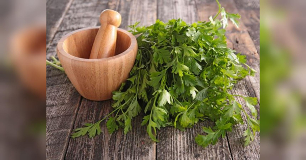 Наші бабусі пили його від метеоризму та анемії: приготуйте цей цілющий настій - INFBusiness